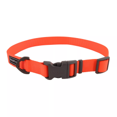 Water & Woods 1" x 14"-20" Adjustable Dog Collar - Safety Orange