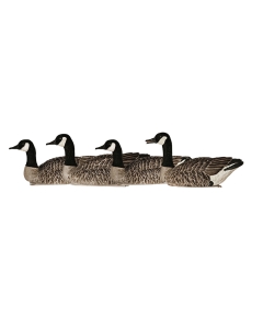 Avian-X Topflight Honkers Canada Goose 4 Pack